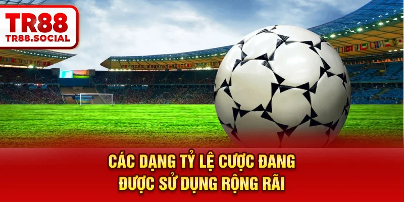 Các dạng tỷ lệ cược đang được sử dụng rộng rãi