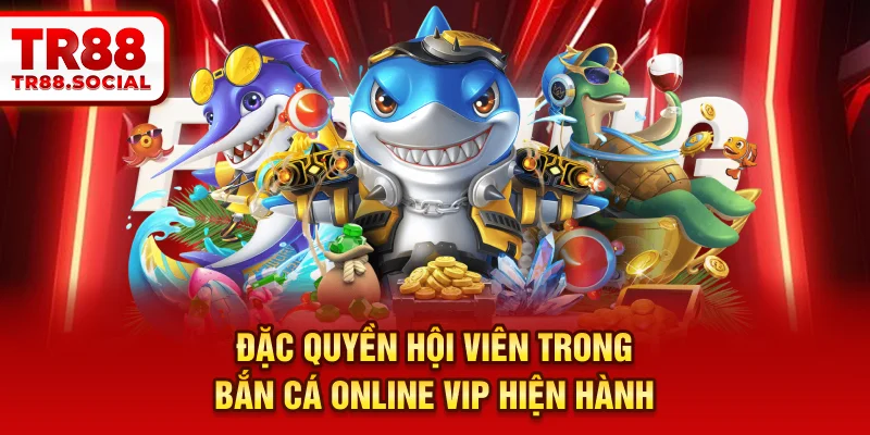 Đặc quyền hội viên trong Bắn cá online VIP hiện hành
